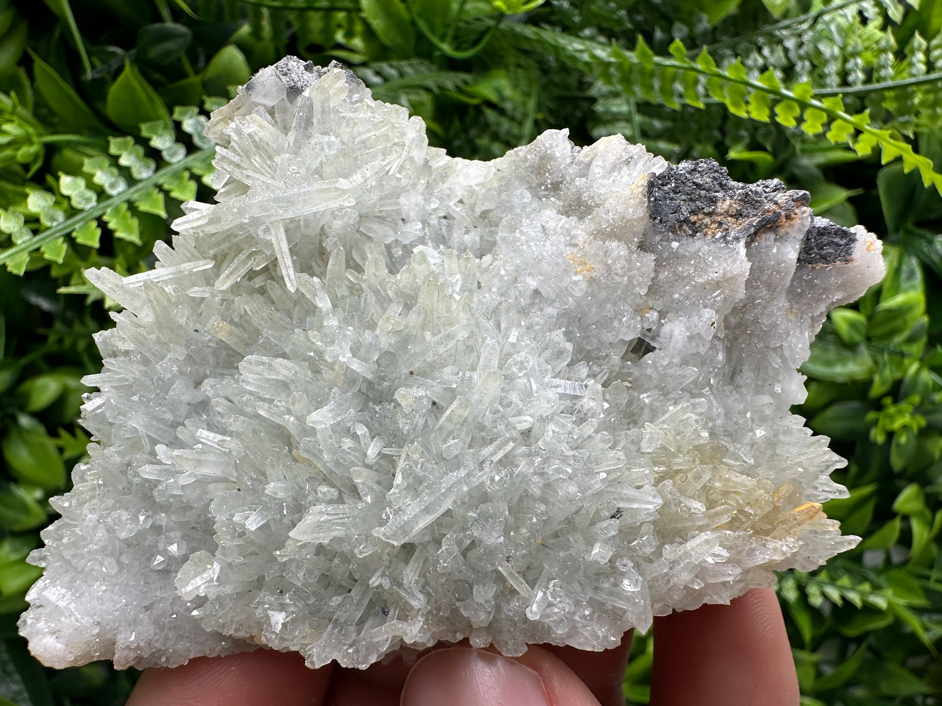 Chlorite Quartz Crystal with Hematite: Borieva Mine, Bulgaria
