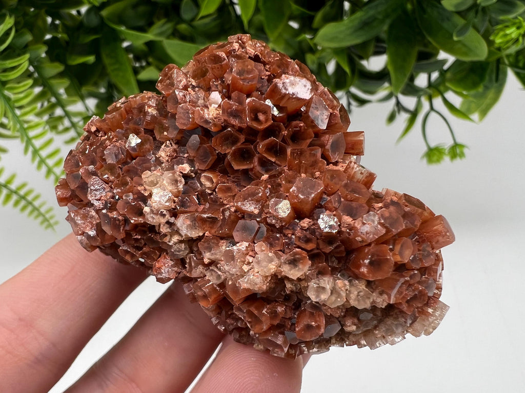 Large Aragonite Sputnik Cluster: Raw Moroccan Crystal Stone
