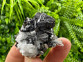 Sphalerite on Transparent Quartz, Kryshev Dol Bulgaria