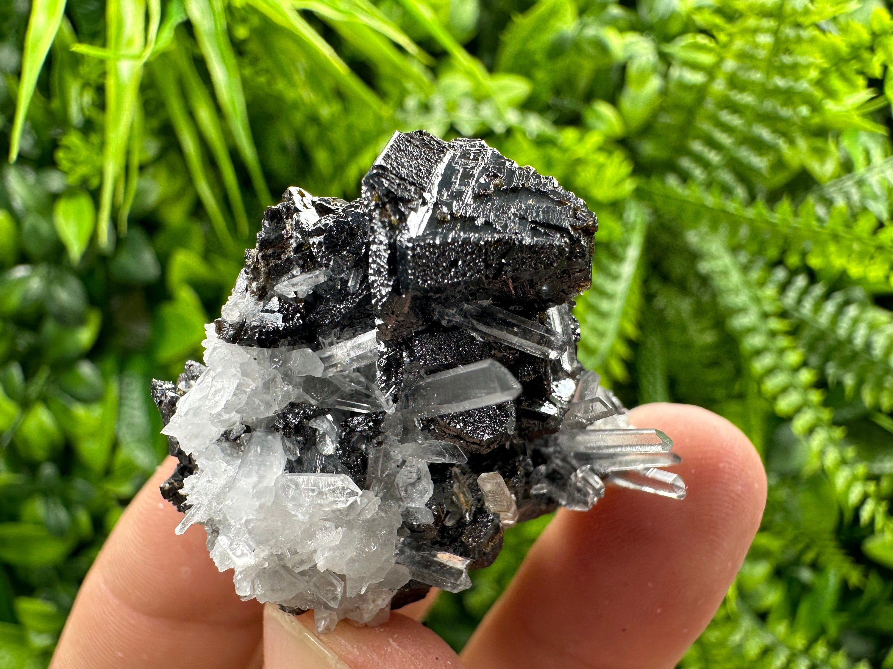 Sphalerite on Transparent Quartz, Kryshev Dol Bulgaria
