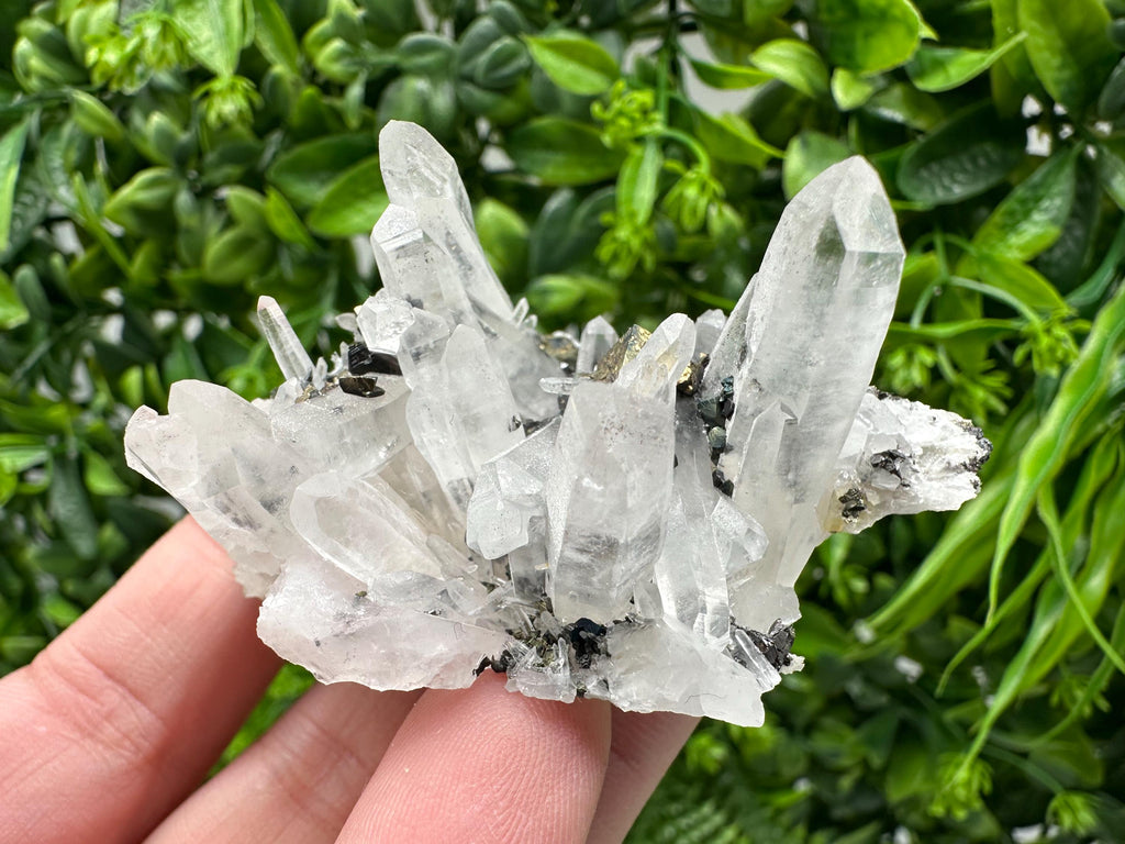 Wonderful Sphalerite Chalcopyrite on  Quartz whit Galena feom 9 th September mine,Bulgaria,natural,collection mineral specimen,gift