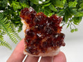 Citrine Crystal Cluster with Hematite Inclusions - Brazil