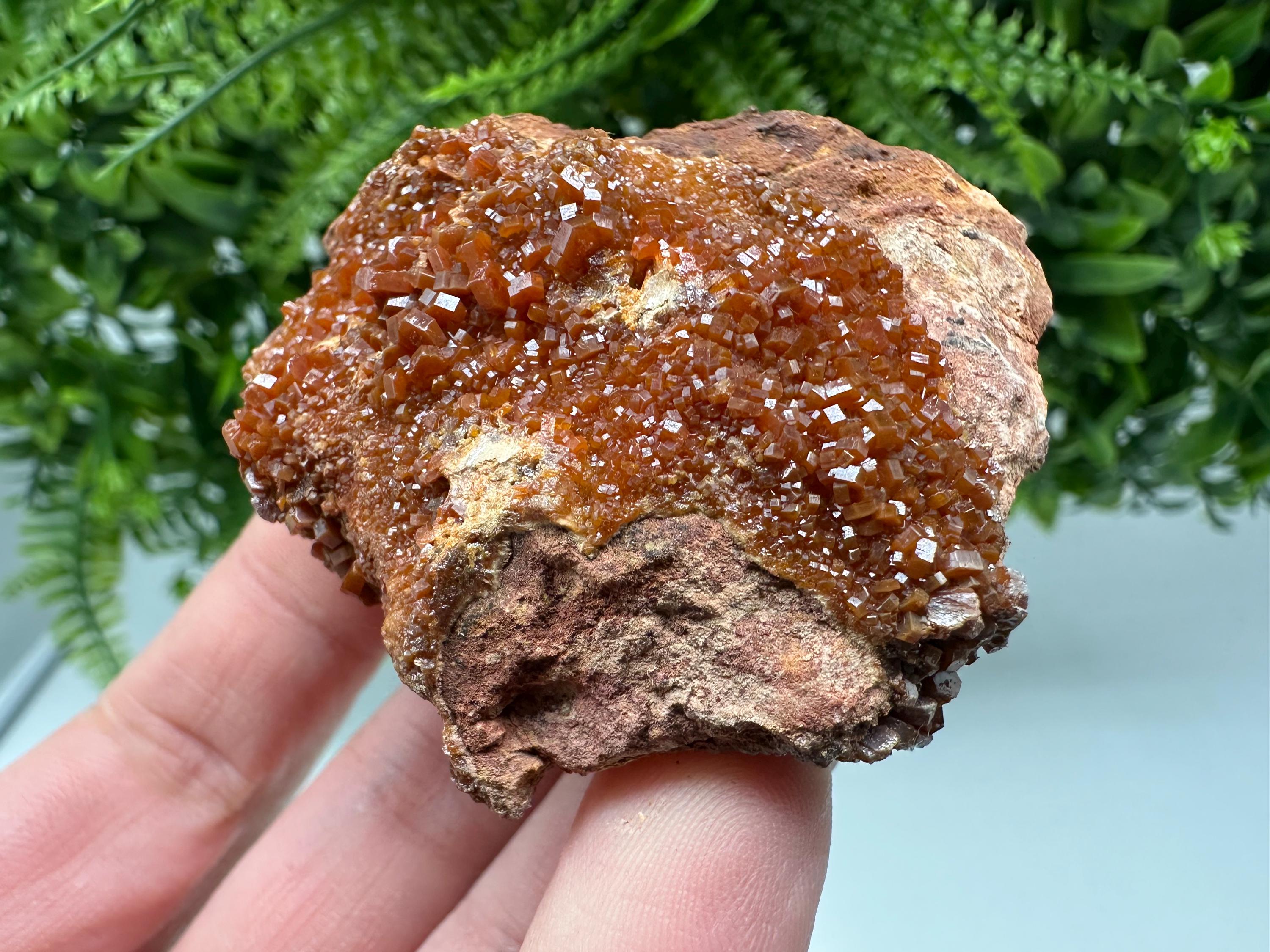 Red Vanadinite on Matrix from Marocco,crystal minerals Speciment cluster Vanadinite crystal Vanadinite Geology Vanadinite cluster minerals