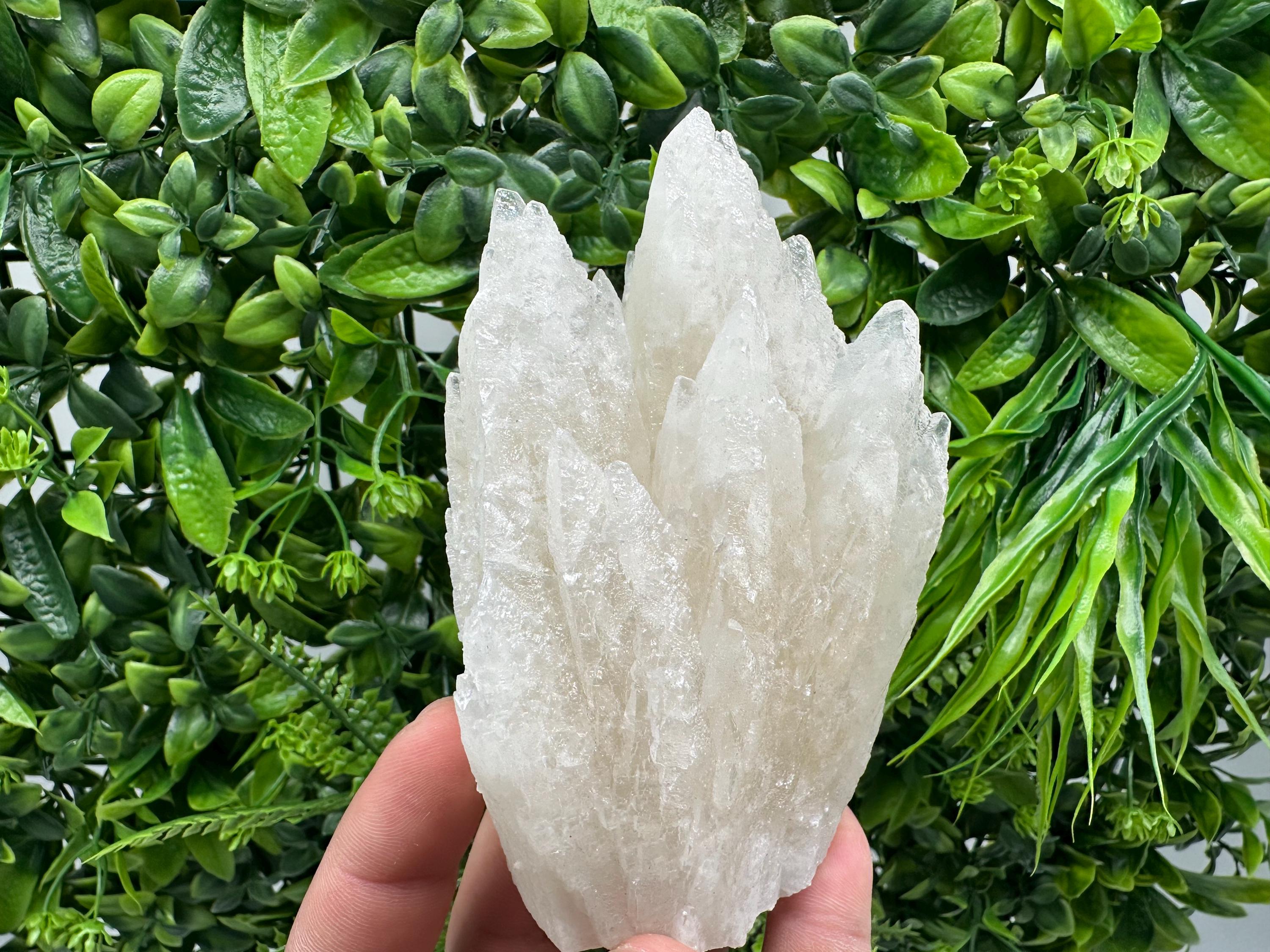 Calcite on Green Quartz: Djurcovo Mine, Bulgaria