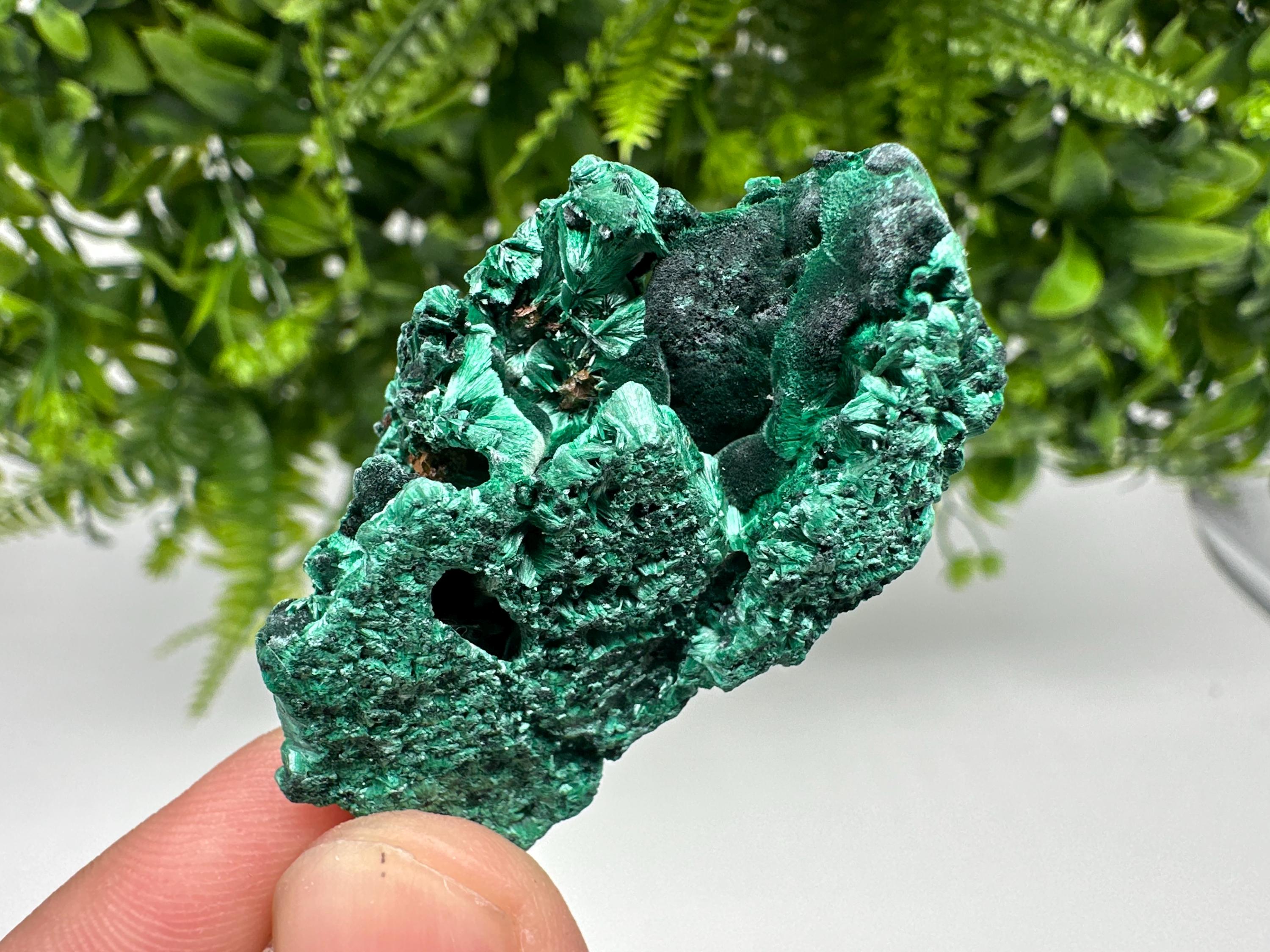 Malachite Crystal from Congo,Minerals,Crystals from Congo,Green Malachite, Malachite,Natural Malachite,Malachite Stone,Chakra, Specimens