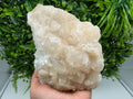 Mangano Calcite with Galena, Borieva Mine, Bulgaria