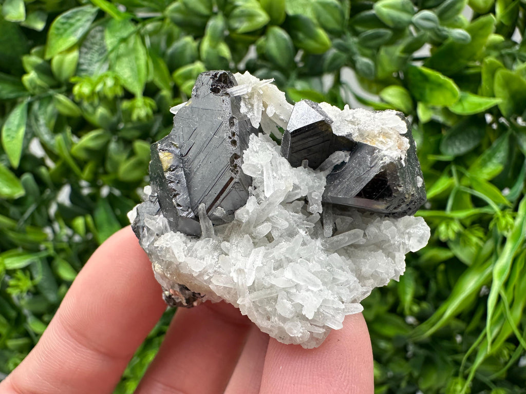 Wonderful Sphalerite Chalcopyrite on  Quartz whit Galena feom 9 th September mine,Bulgaria,natural,collection mineral specimen,gift
