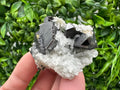 Wonderful Sphalerite Chalcopyrite on  Quartz whit Galena feom 9 th September mine,Bulgaria,natural,collection mineral specimen,gift