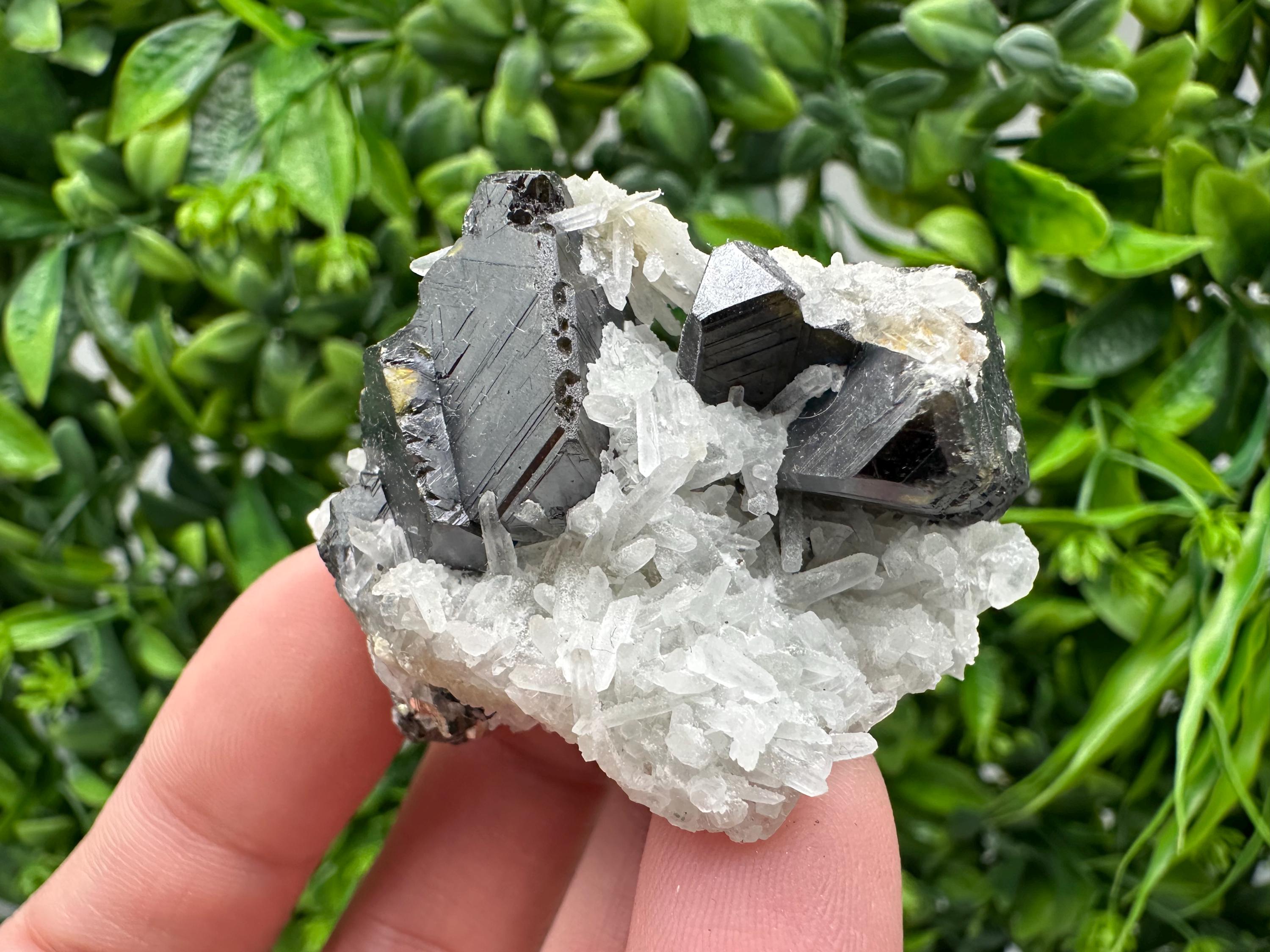 Wonderful Sphalerite Chalcopyrite on  Quartz whit Galena feom 9 th September mine,Bulgaria,natural,collection mineral specimen,gift