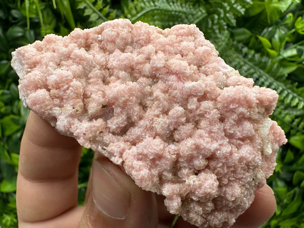 Cabinet Rhodochrosite Specimen with Quartz Crystals, Bulgaria