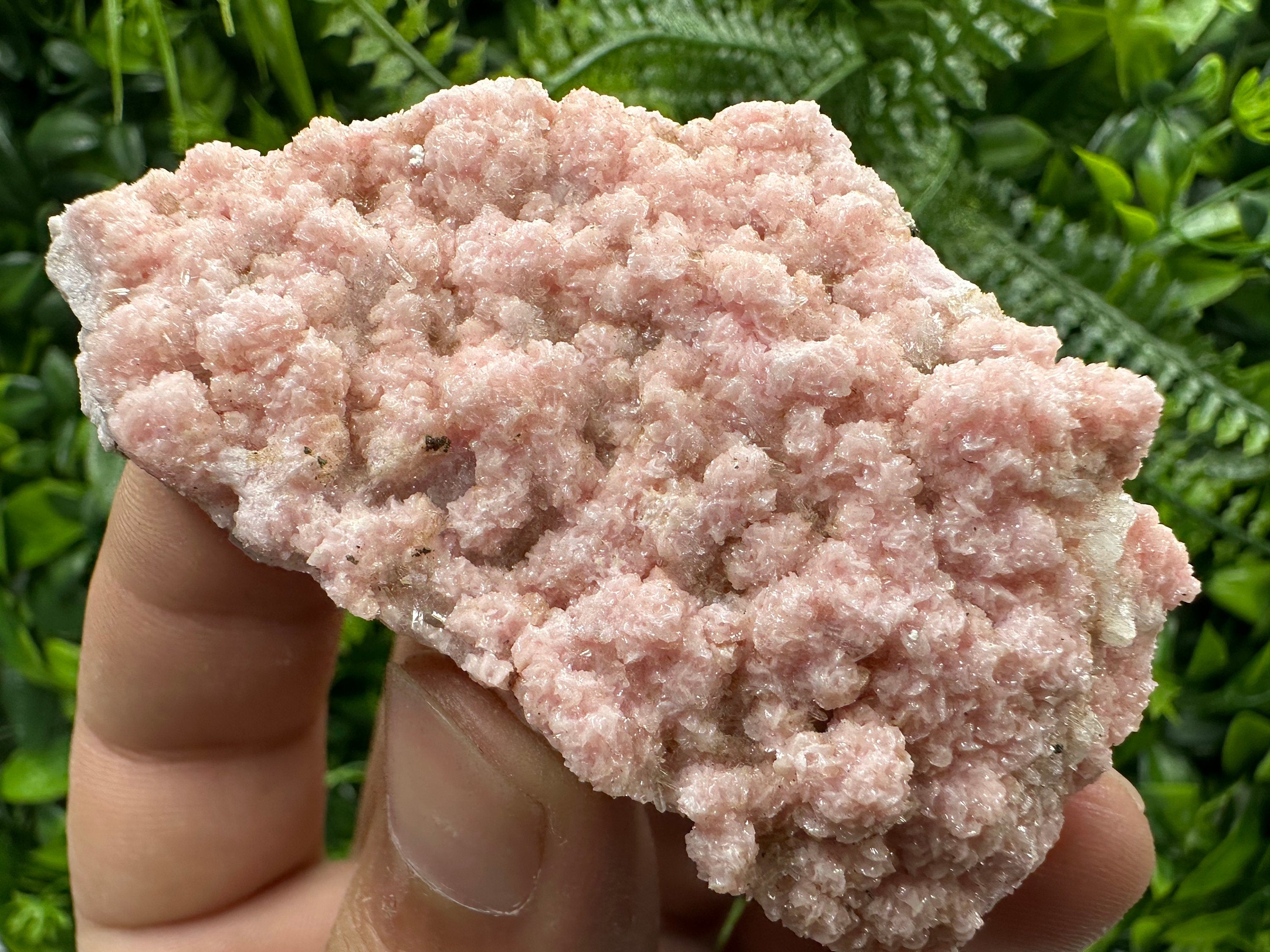 Cabinet Rhodochrosite Specimen with Quartz Crystals, Bulgaria