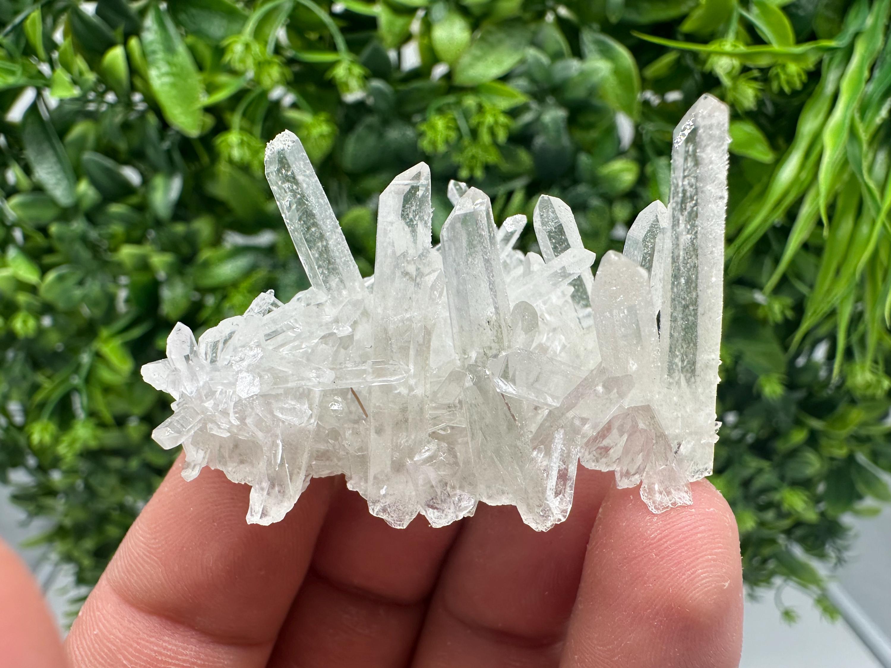 Transparent Quartz on Chlorite Matrix, Borieva Mine, Bulgaria