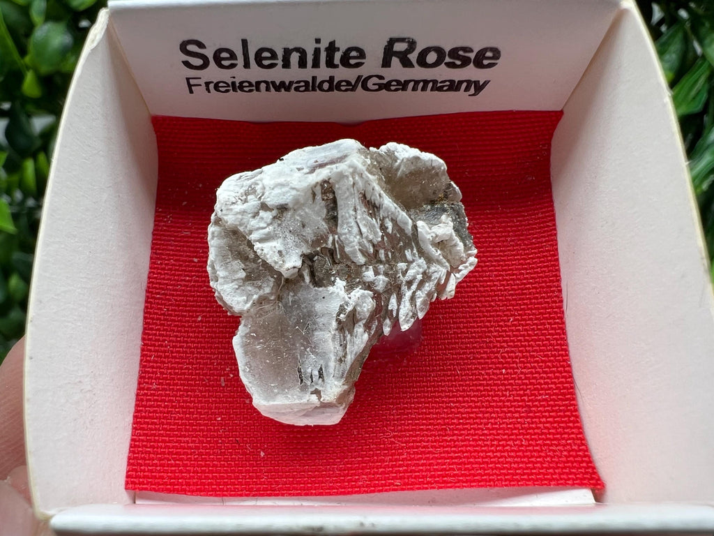 Selenite Rose Freienwalde,Germany natural crystal minerals,specimen,clusters,souvenirs,home decor,gift minerals,rare stone,collection