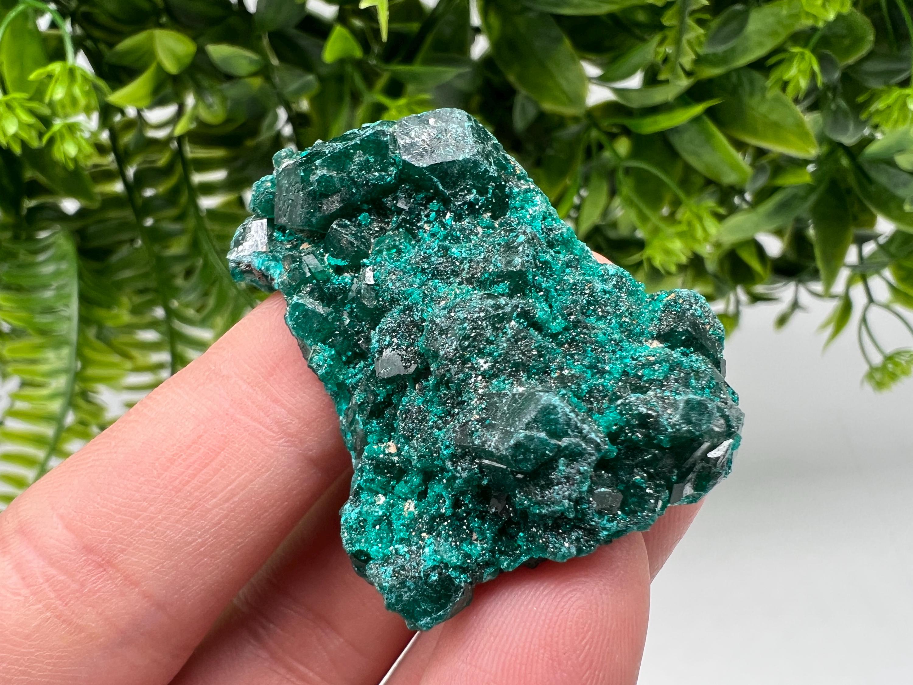 Stunning Green Dioptase from Sanda Hills,Mindouli,Pool Department,Mindouli District,Congo,green Dioptase,Dioptas Crystal,Dioptase collecting