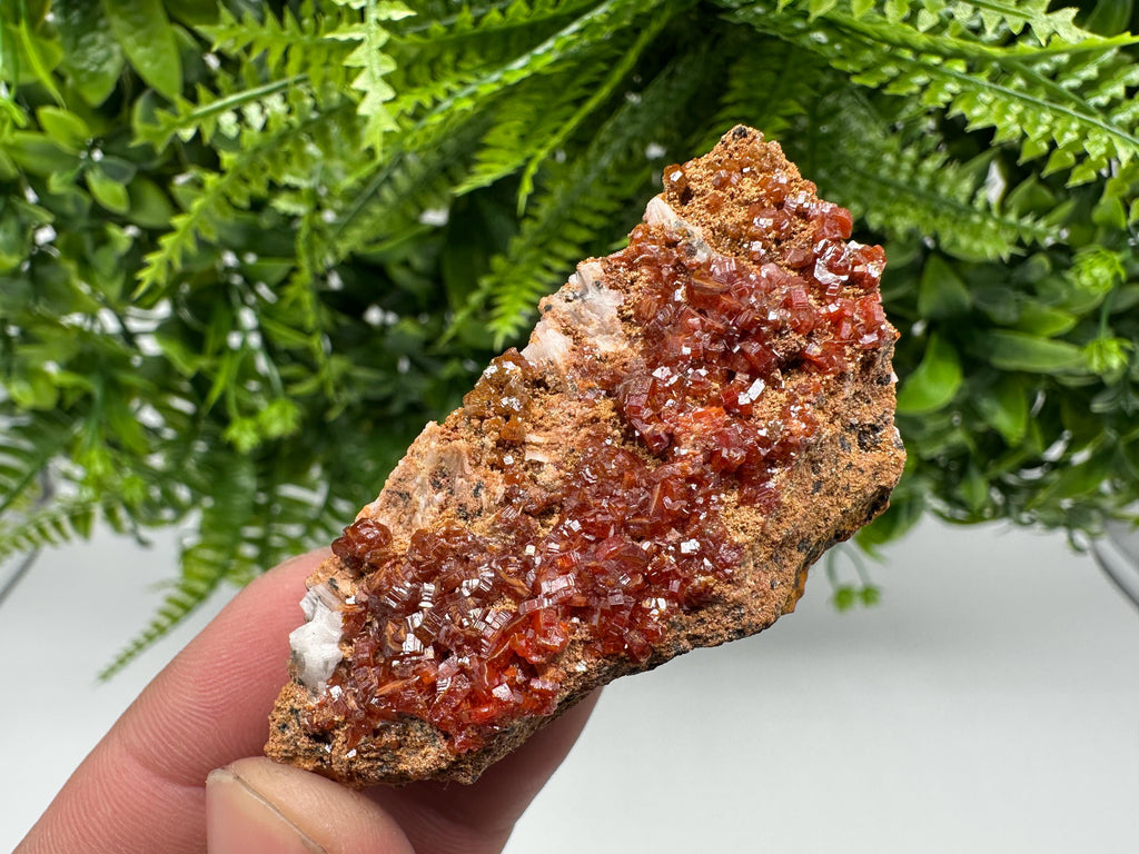 Red Vanadinite Crystal Cluster on Barite Matrix, Morocco Mineral Specimen