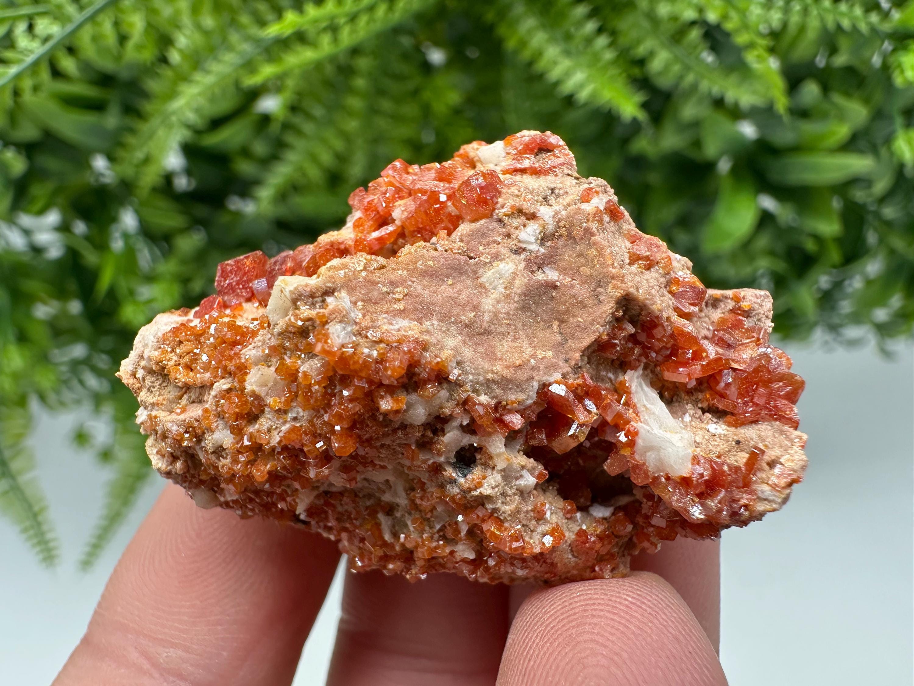Red Vanadinite on Matrix from Marocco,crystal minerals Speciment cluster Vanadinite crystal Vanadinite Geology Vanadinite cluster minerals