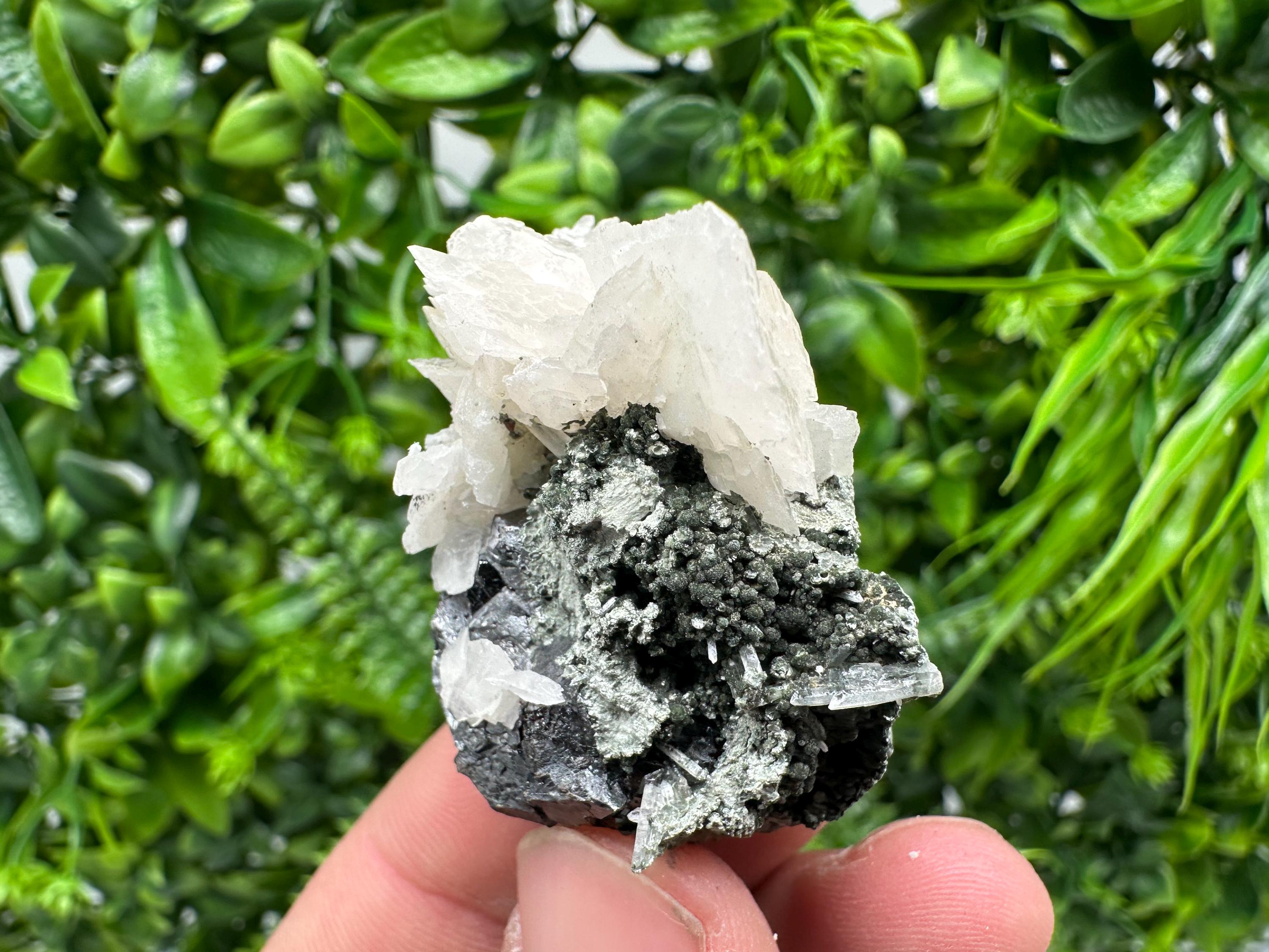 Mirror Galena, Calcite, Sphalerite on Quartz with Chlorite: Collection Mineral