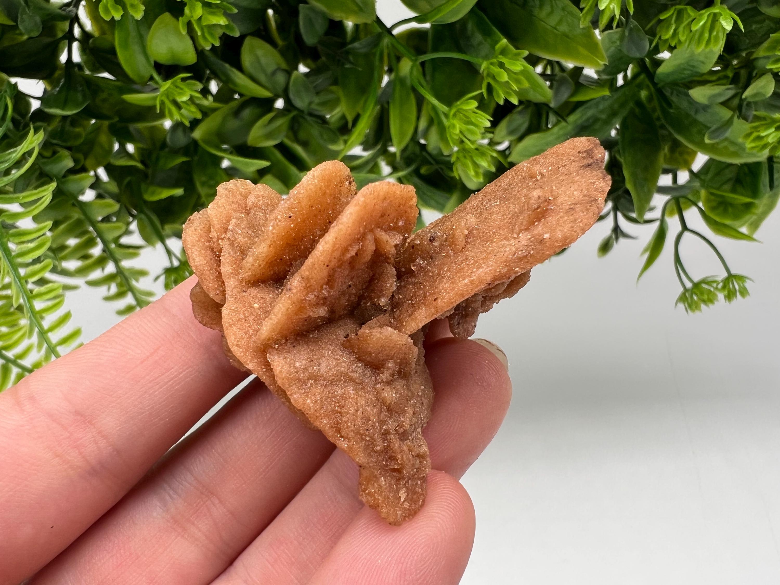 Desert Rose Crystal: Root Chakra Healing Selenite Stone