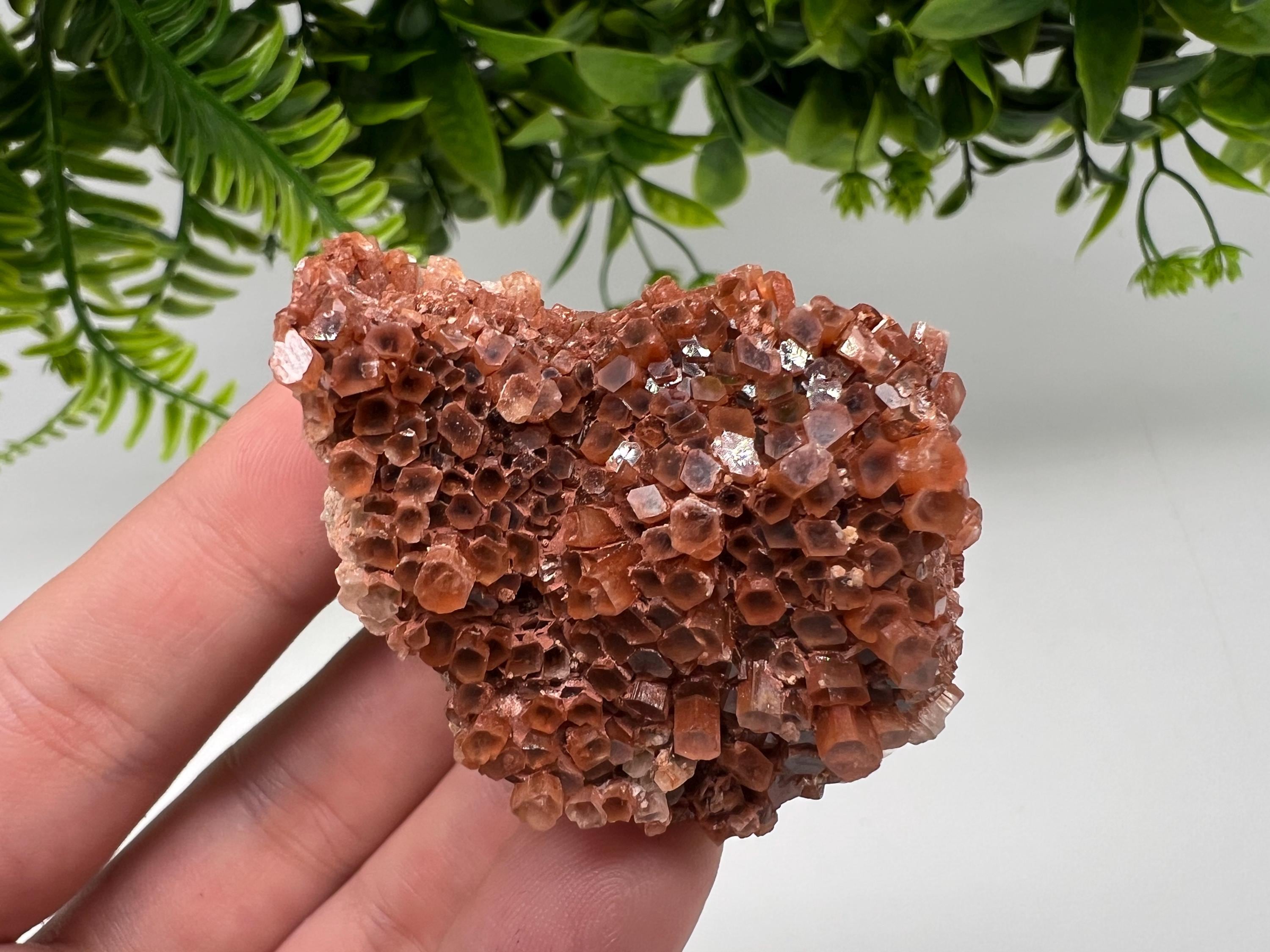Extra Large Aragonite Sputnik Cluster: Moroccan Raw Crystal Stone