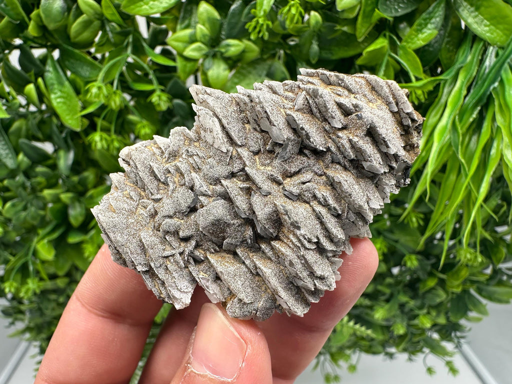 Rare Mangano Calcite Crystal: Borieva Mine, Bulgaria