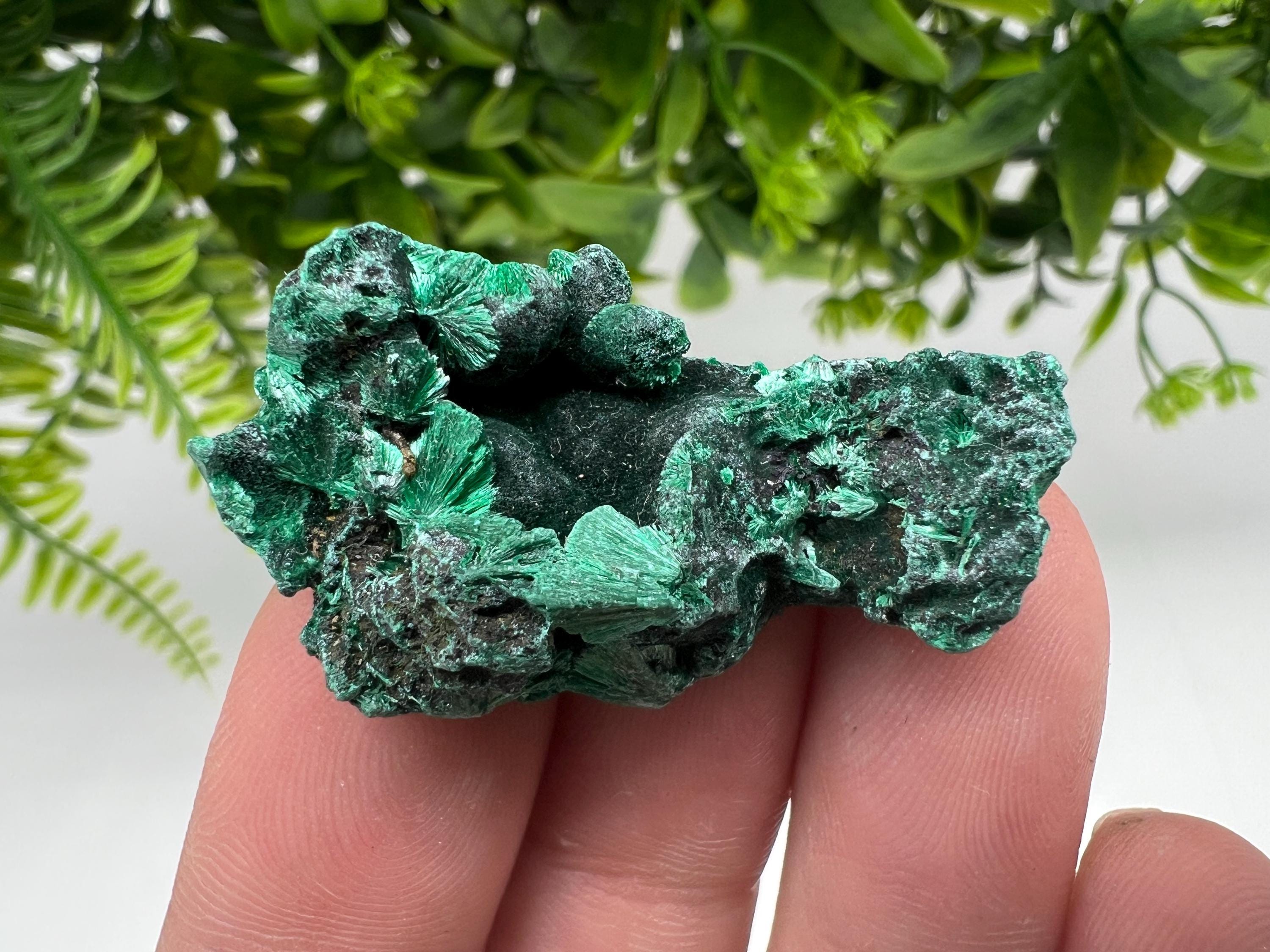 Malachite Crystal from Congo,Minerals,Crystals from Congo,Green Malachite, Malachite,Natural Malachite,Malachite Stone,Chakra, Specimens