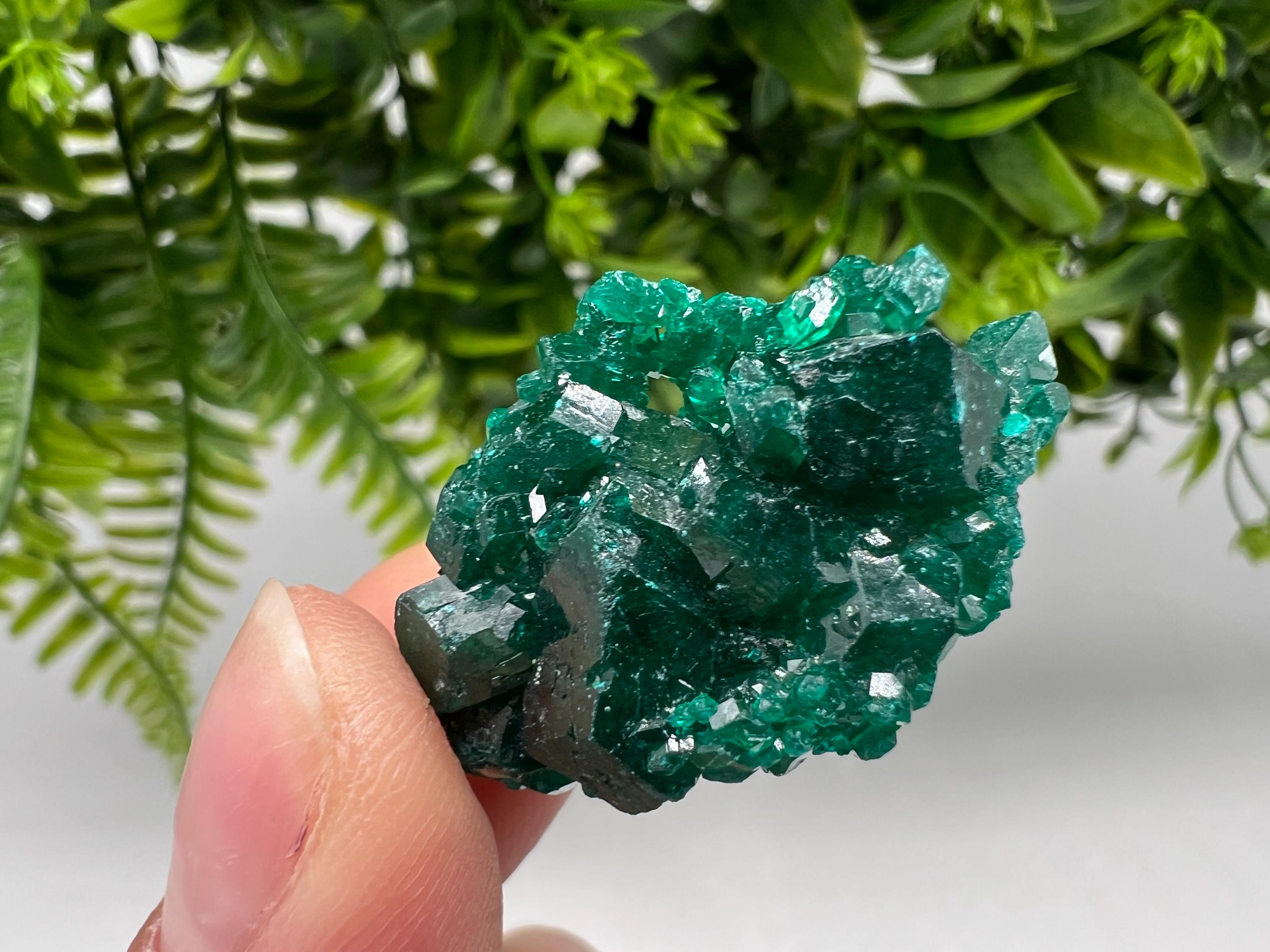 Green Dioptase Crystal, Congo Mineral Specimen, Collecting