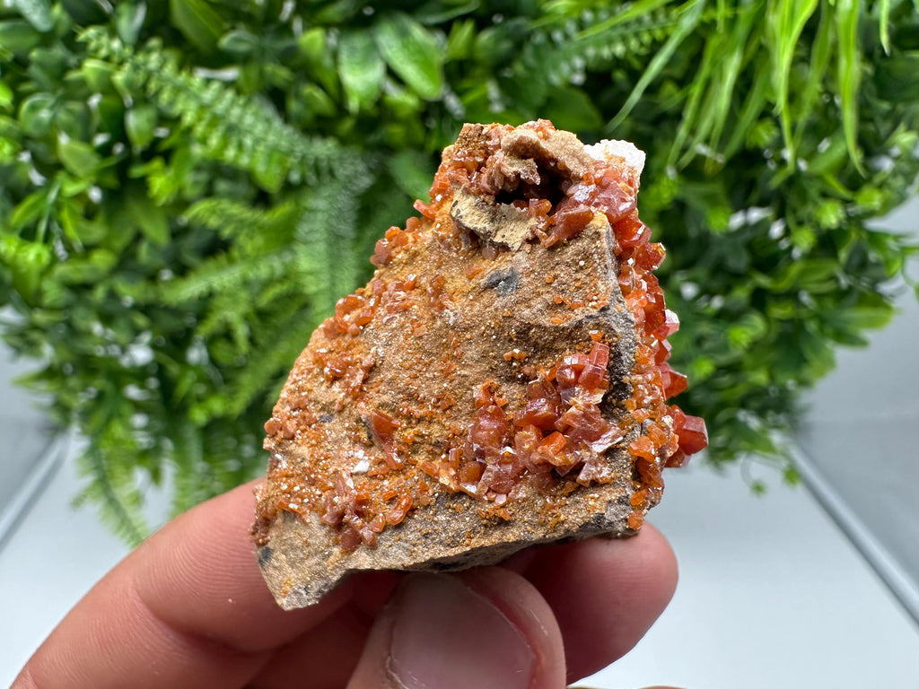 Red Vanadinite on Barite from Marocco,crystal minerals Speciment cluster Vanadinite crystal Vanadinite Geology Vanadinite cluster minerals