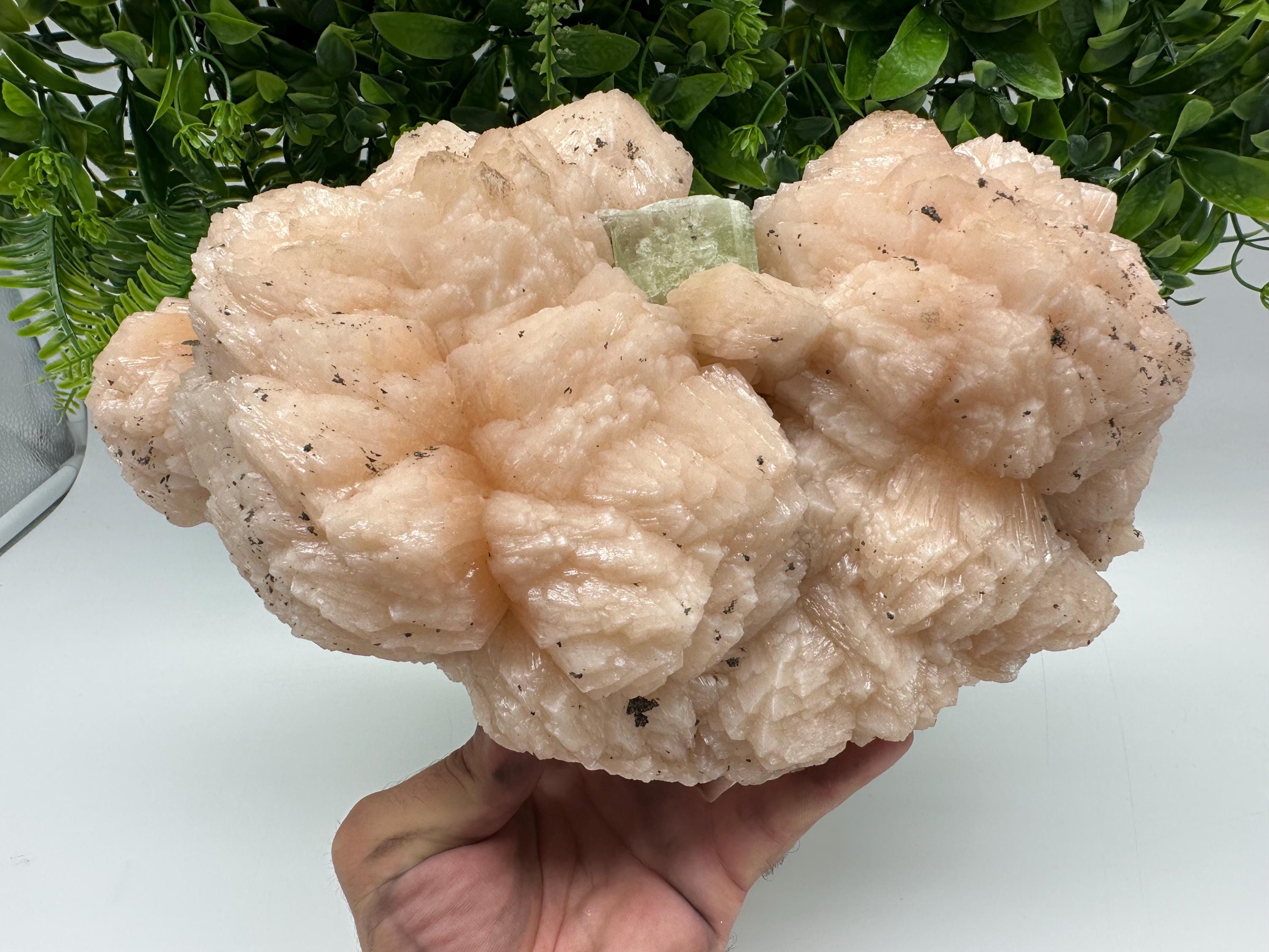 Apophyllite Stilbite on Chalcedony: Natural Mineral Specimen, India