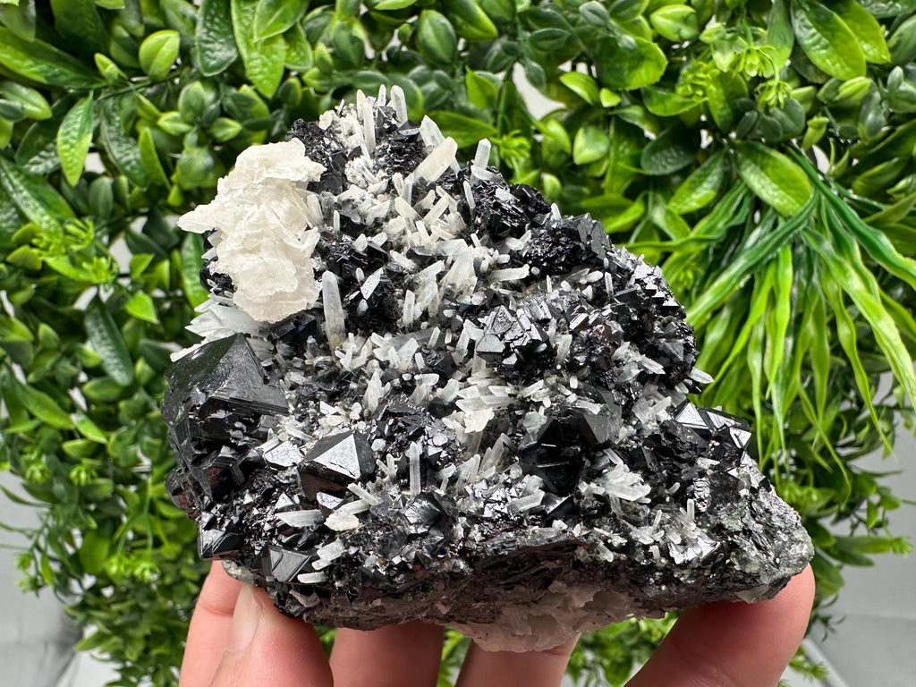 Mirror Galena, Sphalerite & Calcite Specimen: Borieva Mine, Bulgaria