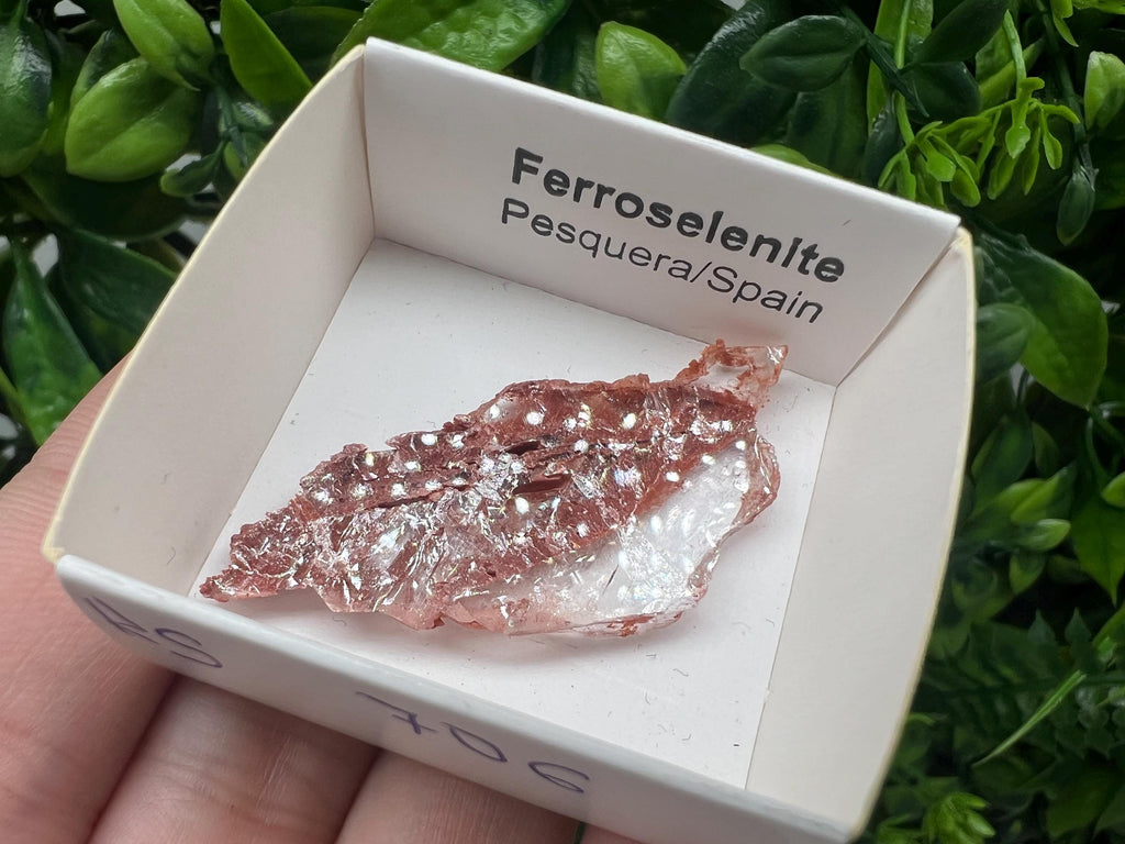 Rare Ferroselenite Specimen: La Pesquera, Spain Mineral (4.5/2.3 cm