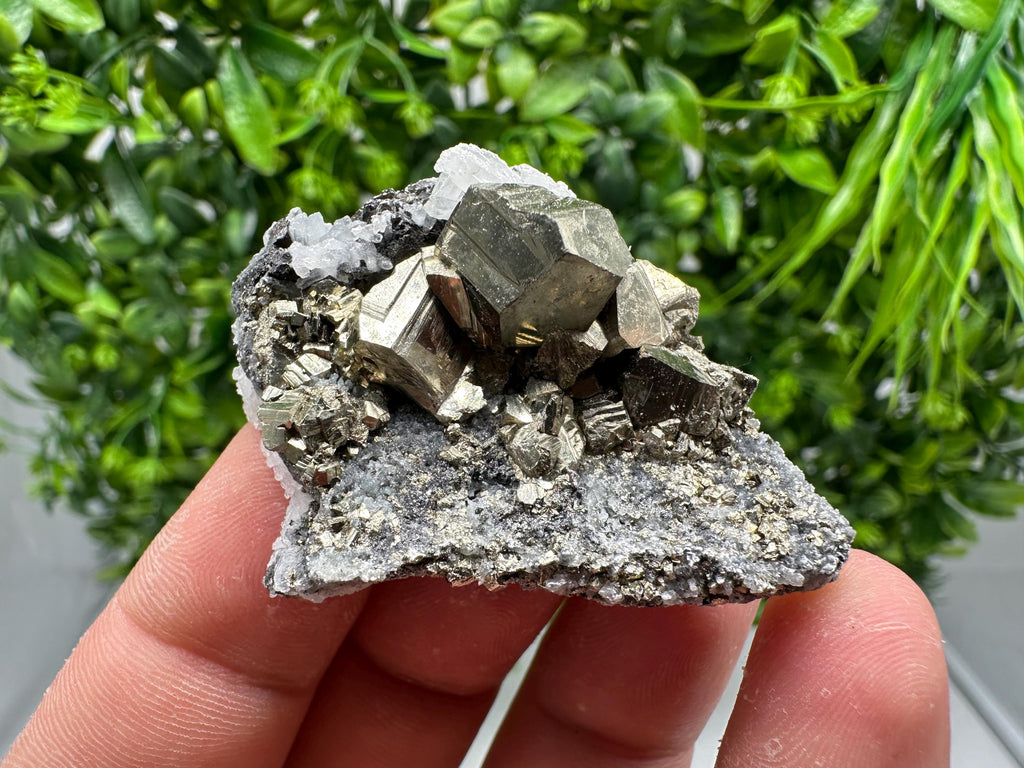 Golden Pyrite,Sphalerite from 9th September mine,Madan,Bulgaria,natural,collectible mineral specimen,home decor crystal,Pyrite cluster,