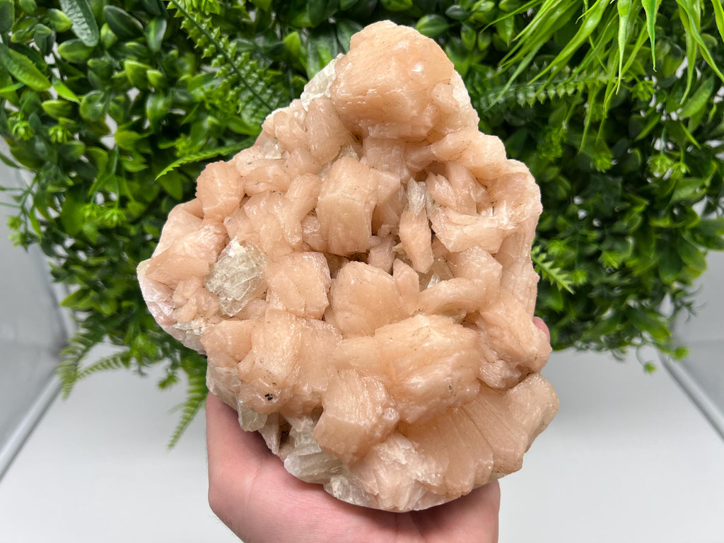 Apophyllite Stilbite on Chalcedony, India Crystal Specimen