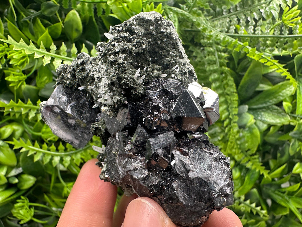 Galena with Black Sphalerite: Natural Minerals Souvenir, Borieva Bulgaria