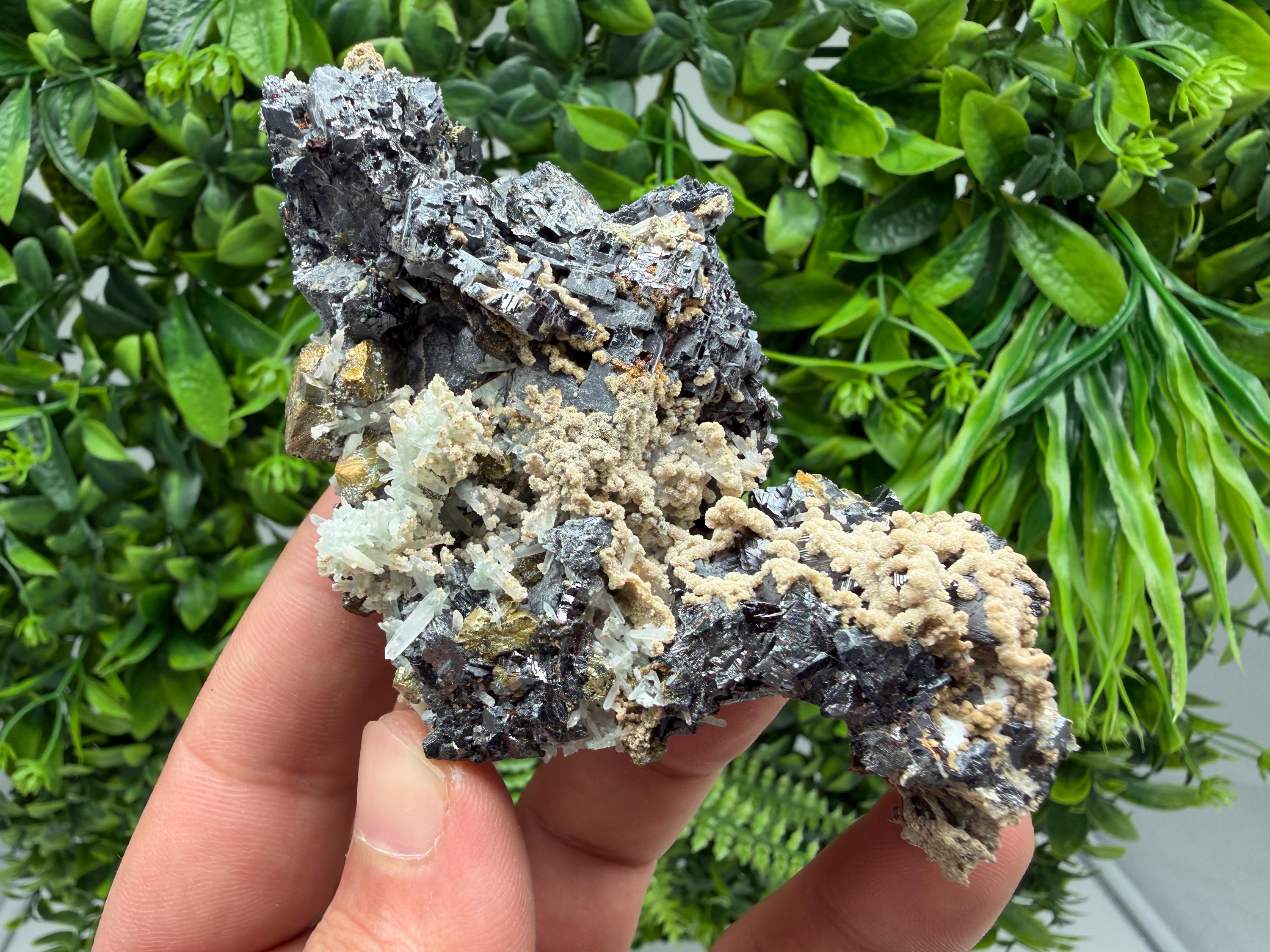 Wonderful Sphalerite Chalcopyrite on  Quartz whit Galena feom 9 th September mine,Bulgaria,natural,collection mineral specimen,gift
