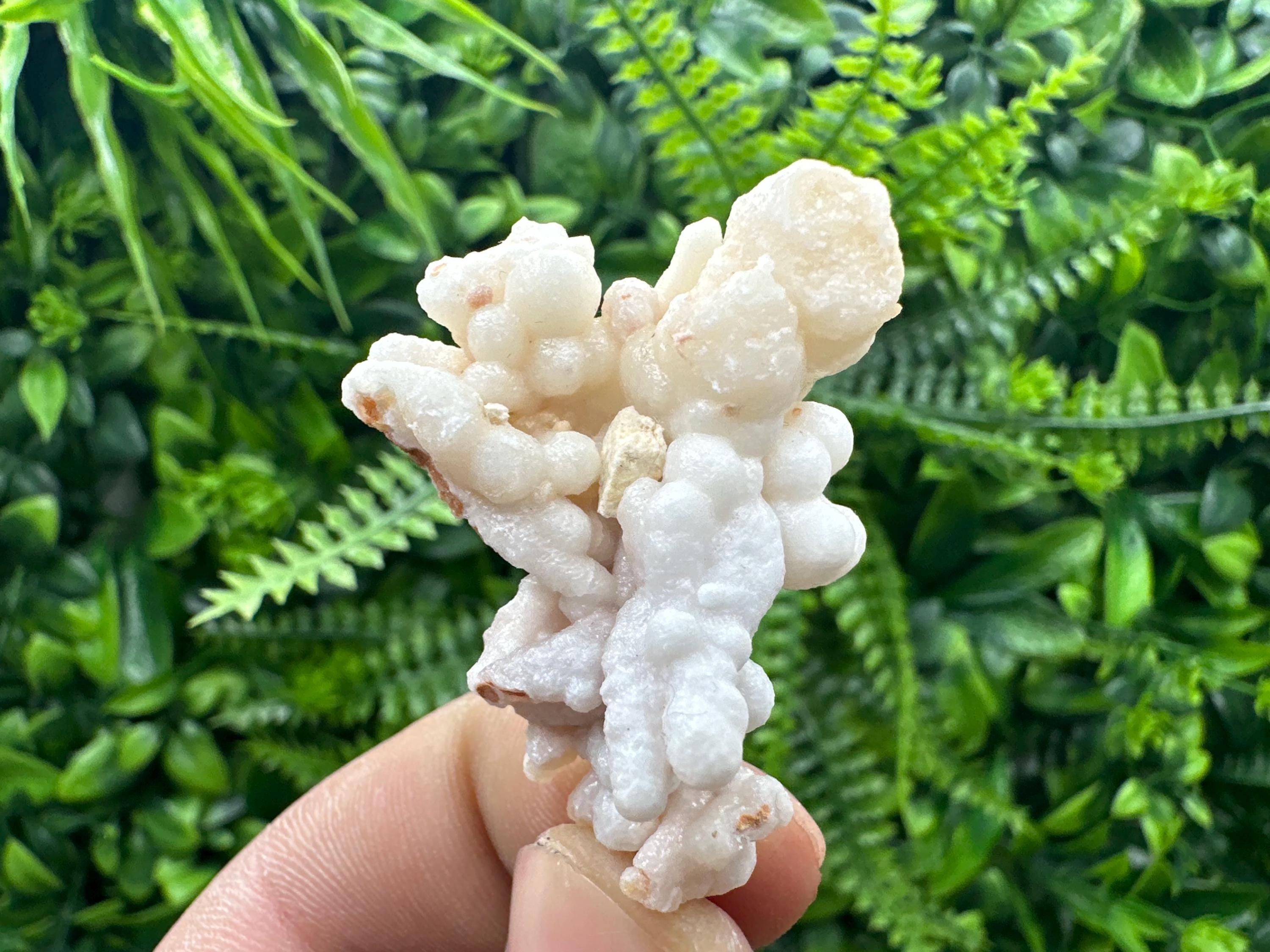 Aragonite Cluster, Bulgarian Mineral Specimen, Home Decor Stone