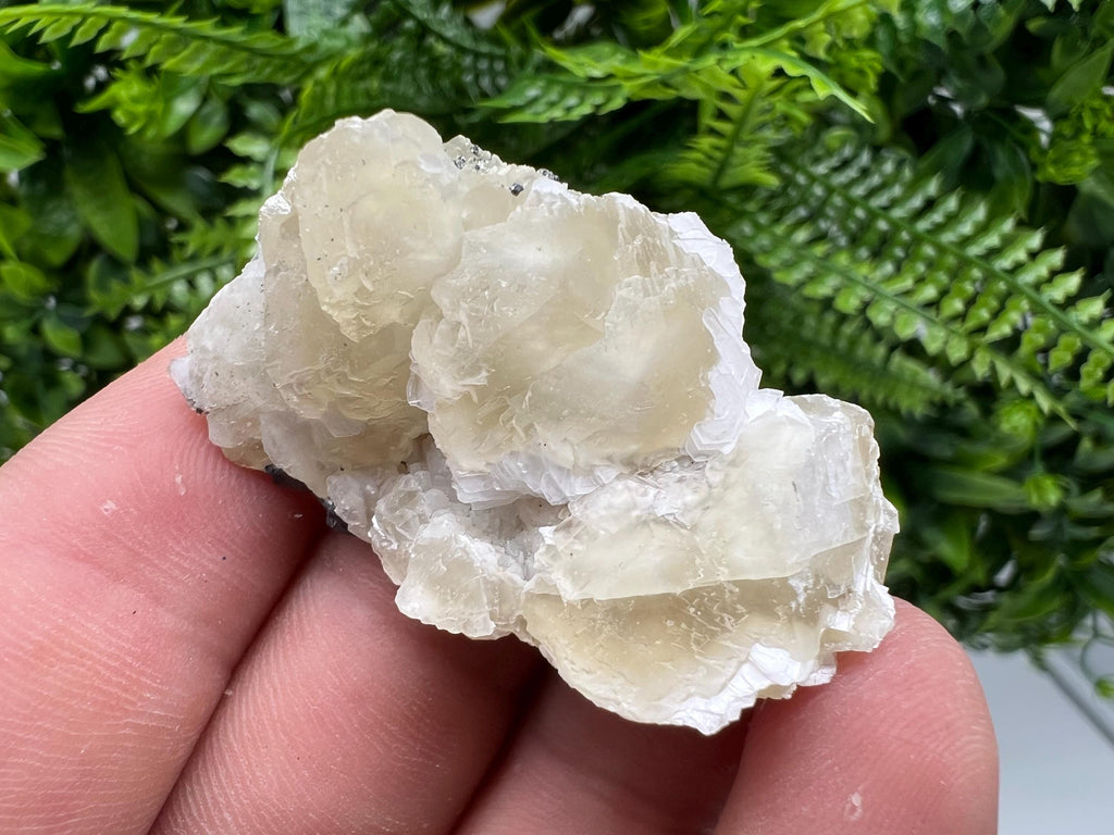 Calcite on Galena Specimen: Borieva Mine, Bulgaria