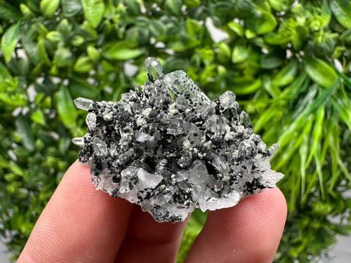 Chlorite Quartz Mineral Specimen, Borieva Mine, Bulgaria