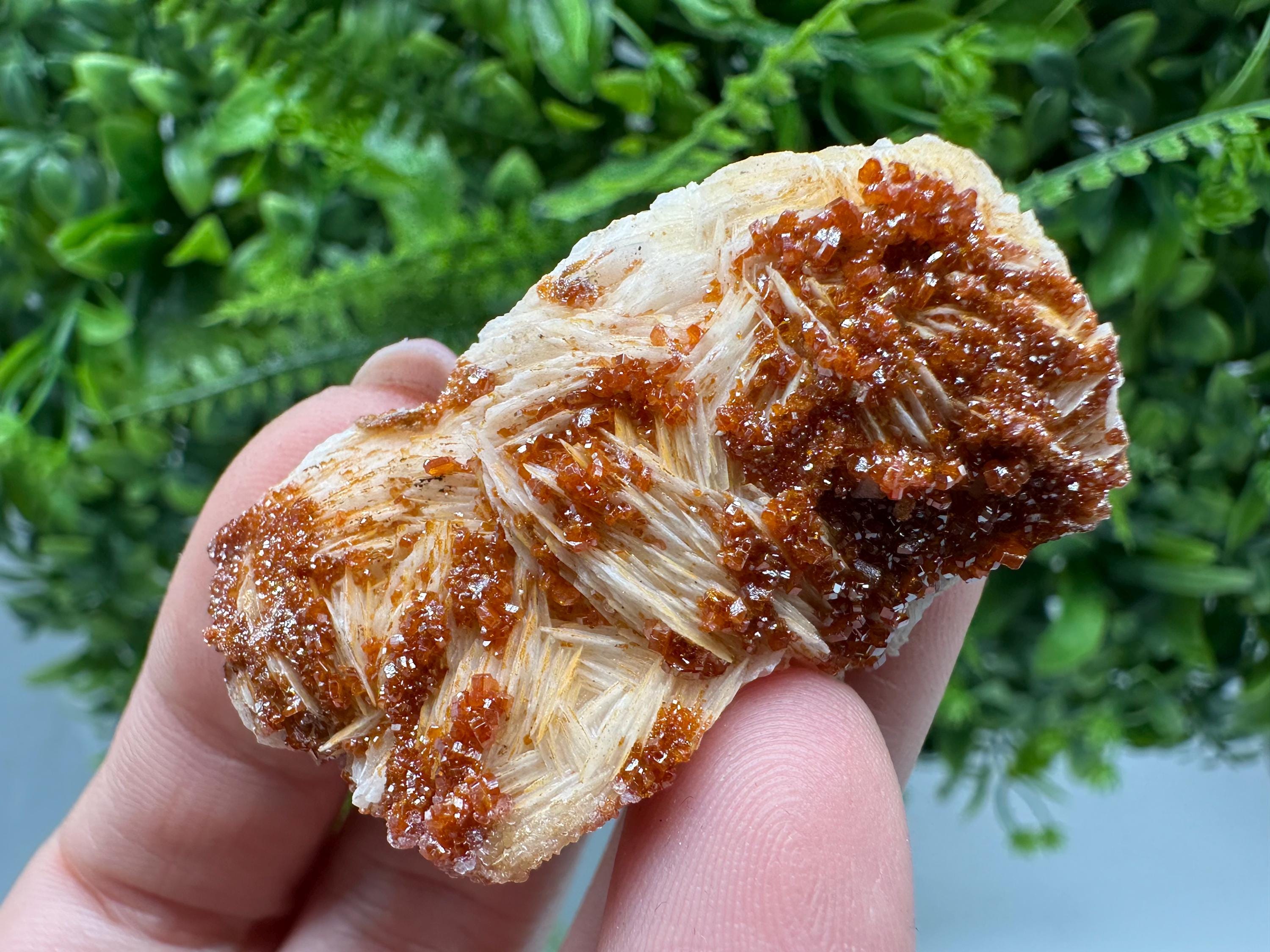 Red Vanadinite on Barite, Morocco Crystal Specimen