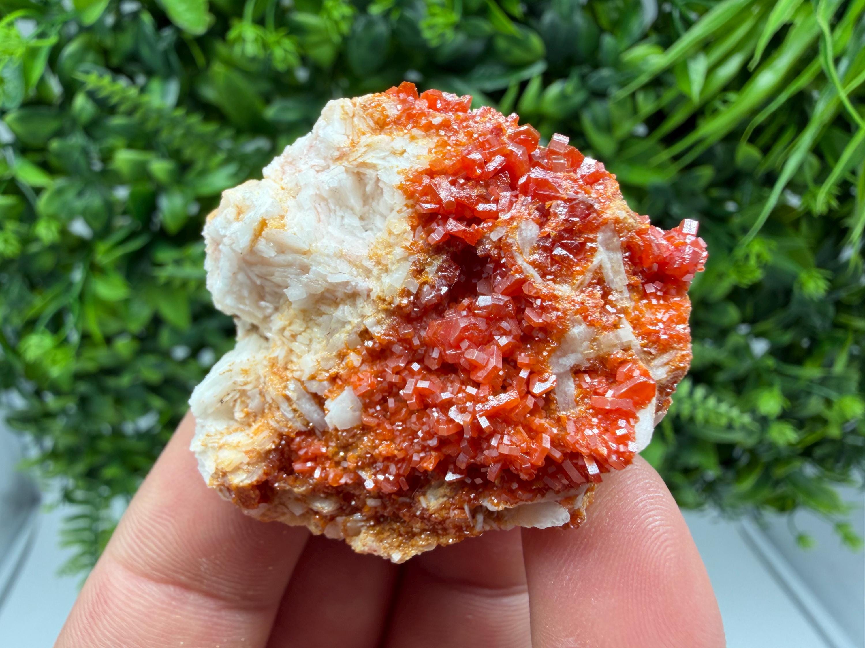 Red Vanadinite on Barite Cluster, Morocco Mineral Specimen