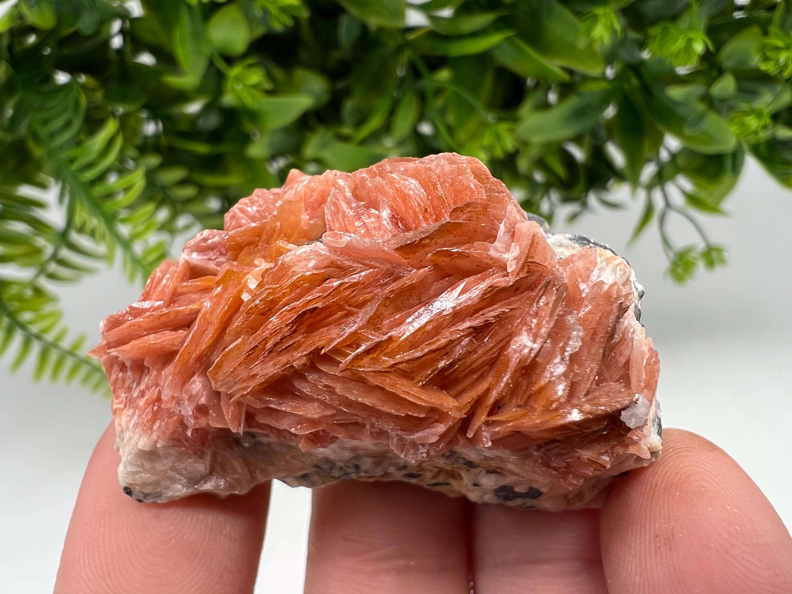 Wonderful Baryte with Cerussite on Galena from Morocco,Crystal, Mineral,Specimen,Cluster,Crystals,Barite Crystal,Cerussite Crystal,Specimen