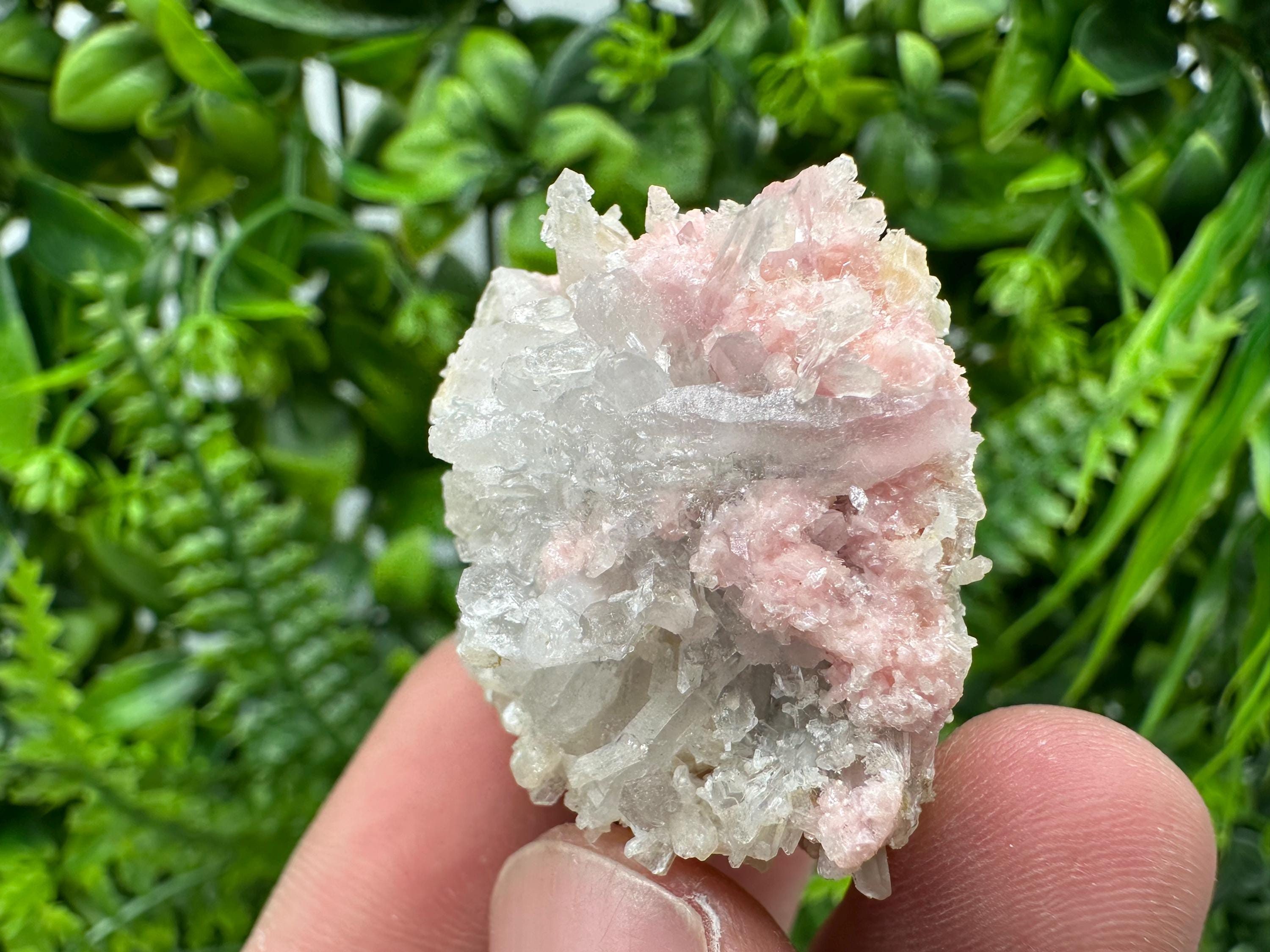 Pink Rhodochrosite Crystal: Starnica Mine, Bulgaria