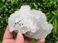 Mangano Calcite with Galena, Borieva Mine, Bulgaria