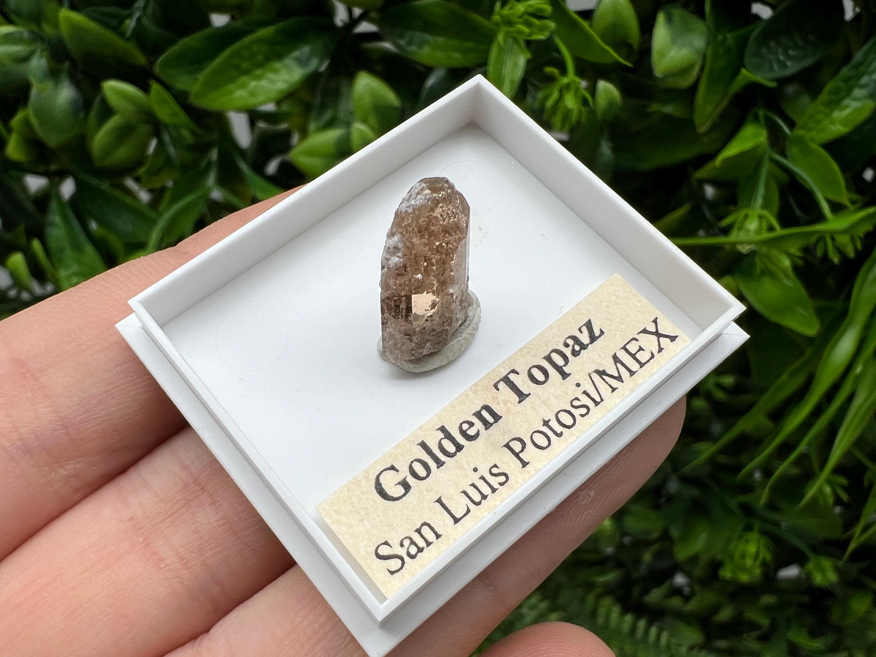 Beautiful Golden Topaz from Mexico,collection piece Crystal,Mineral,collectibles,Collectors, Natural Crystal, Minerals from Mexico,original,