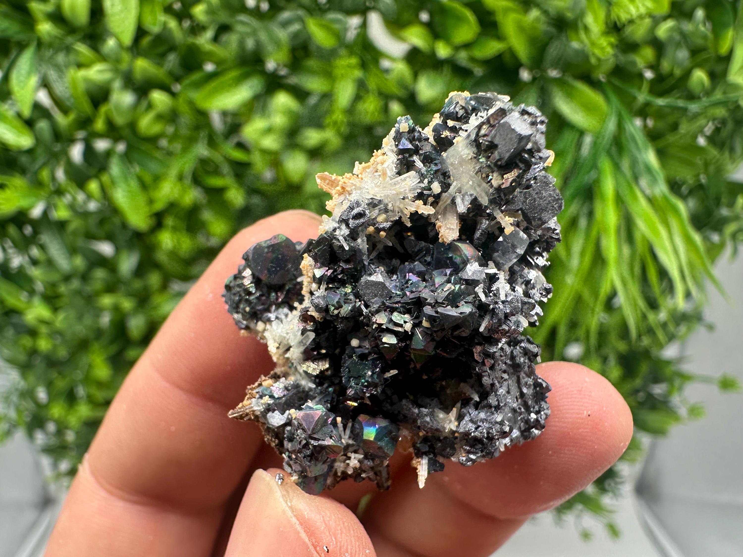 Wonderful Galena,Sphalerite,Siderite on Quartz from 9th September mine,Madan,Bulgaria,natural,collection mineral specimen,crystal,gift,decor