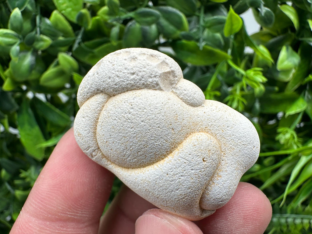 Menalite Crystal: White Fairy Stone, Moroccan A+ Grade