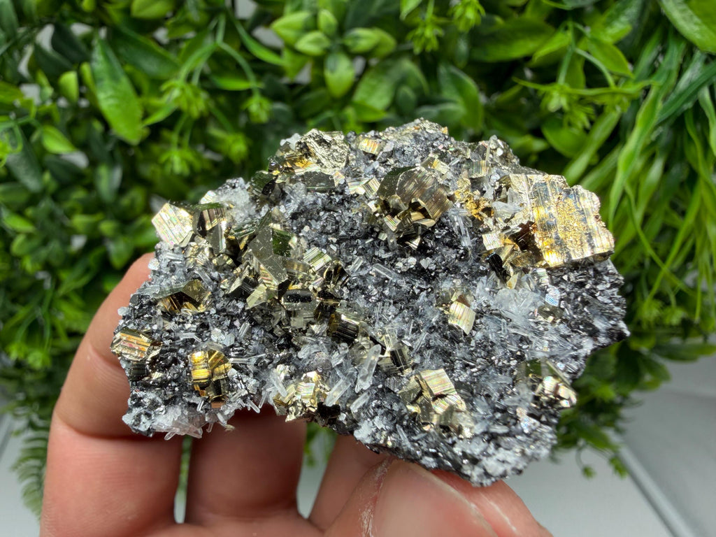 Pyrite Sphalerite Quartz  Mineral Specimen, Krushev dol Mine