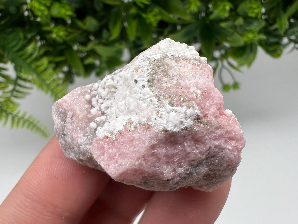 RARE Rhodochrosite with Calcite, Starnica Mine, Bulgaria
