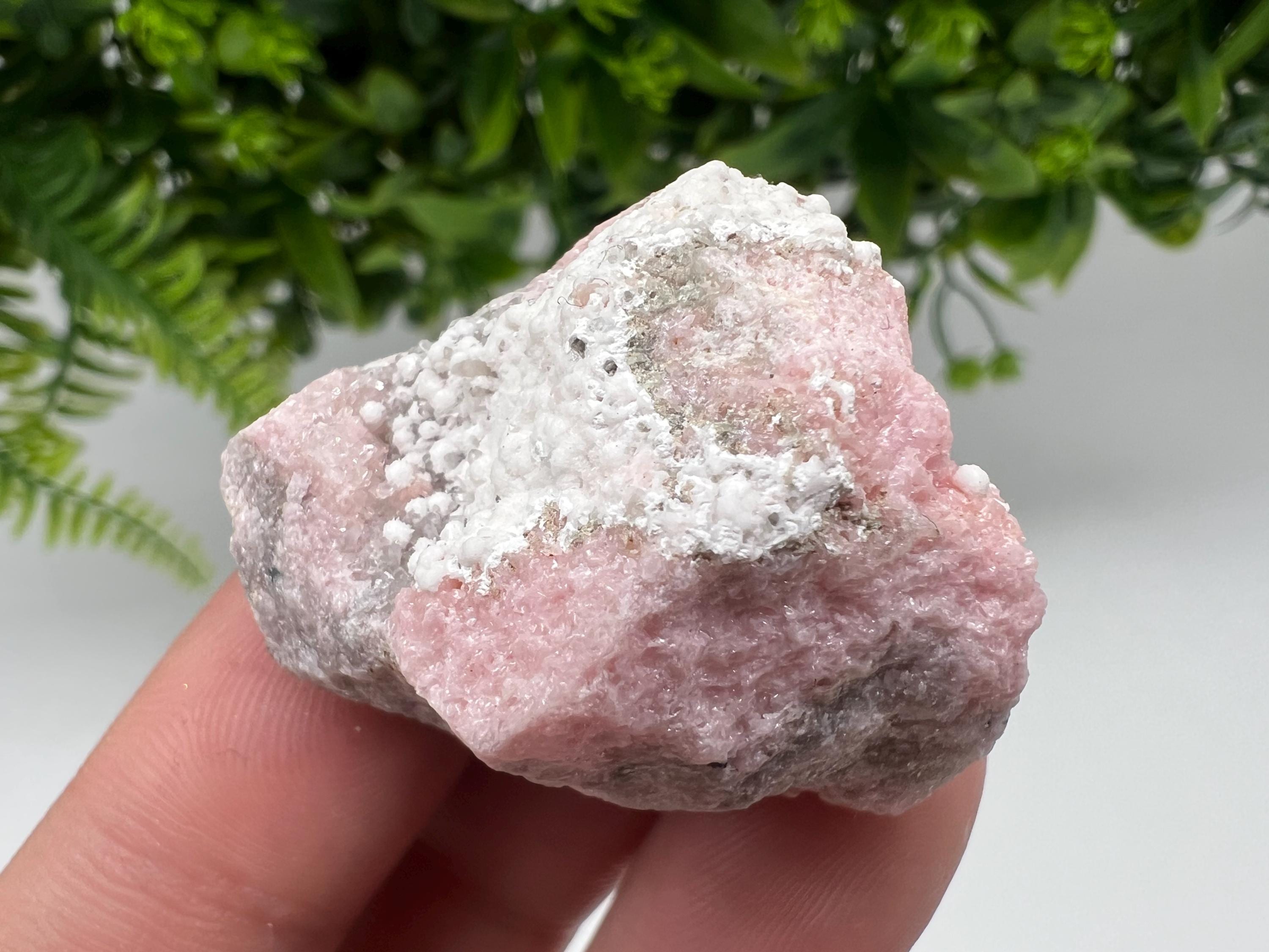 RARE Rhodochrosite with Calcite, Starnica Mine, Bulgaria
