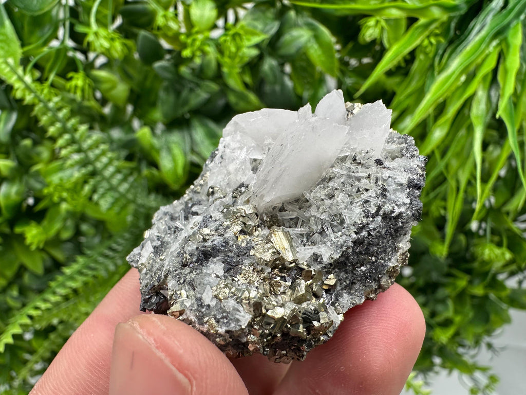 Pyrite on Green Quartz, Borieva Mine Mineral Specimen