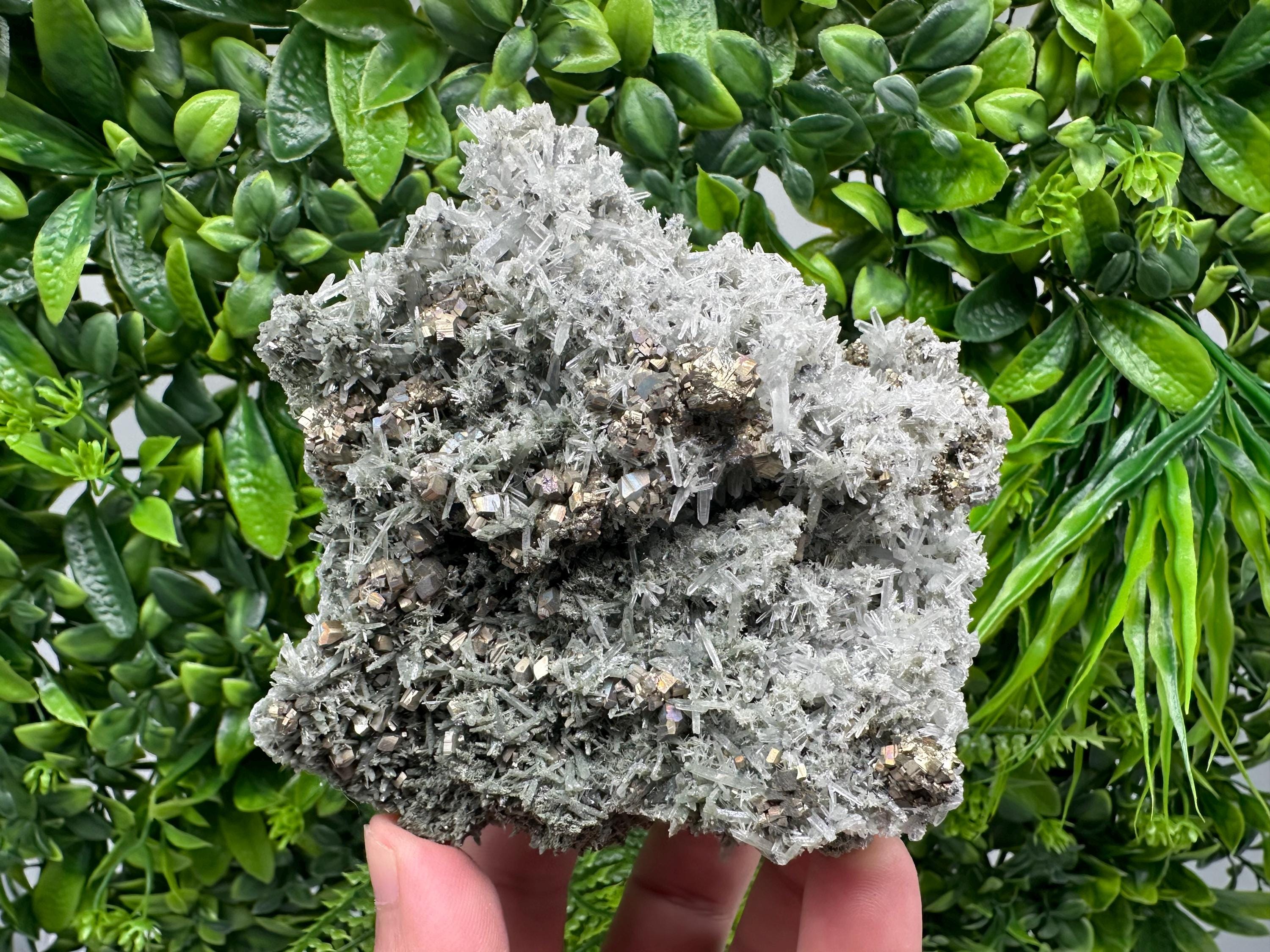 Pyrite on Needle Quartz, Borieva Mine, Bulgaria, Mineral Specimen